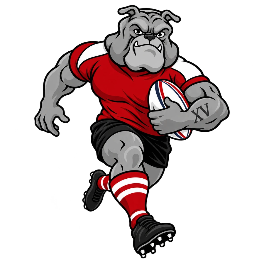 Le bouledogue du XV court avec un ballon de rugby.